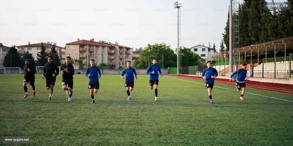 为什么选择我们